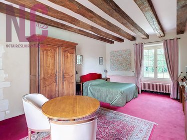 propriete a vendre Truyes 37320 Indre-et-Loire 810 m2 28 pièces 2329000 euros