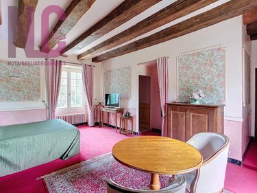propriete a vendre Truyes 37320 Indre-et-Loire 810 m2 28 pièces 2329000 euros