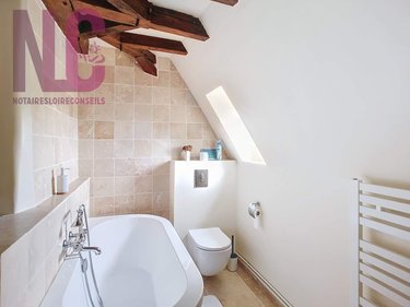 propriete a vendre Truyes 37320 Indre-et-Loire 810 m2 28 pièces 2329000 euros