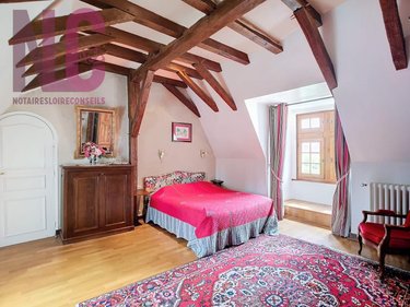 propriete a vendre Truyes 37320 Indre-et-Loire 810 m2 28 pièces 2329000 euros