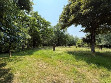Maison a vendre Cerelles 37390 Indre-et-Loire 120 m2 4 pièces 194250 euros