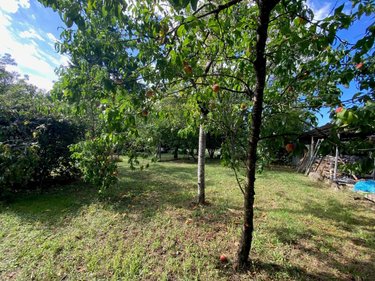 Terrain a batir a vendre Montlouis-sur-Loire 37270 Indre-et-Loire 655 m2  136600 euros