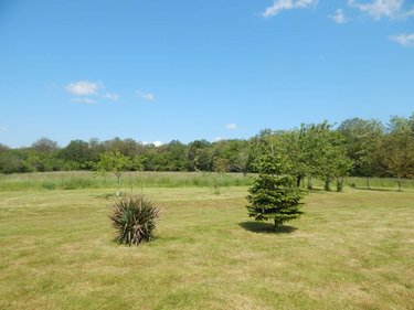 Maison a vendre La Croix-en-Touraine 37150 Indre-et-Loire 135 m2 5 pièces 353600 euros