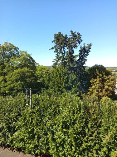 Appartement a vendre Amboise 37400 Indre-et-Loire 72 m2 4 pièces 156000 euros