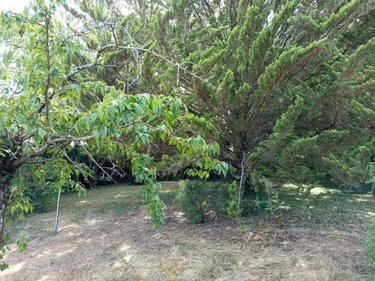 Terrain a batir a vendre La Croix-en-Touraine 37150 Indre-et-Loire 350 m2  84800 euros