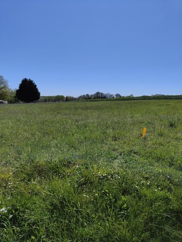 Terrain a batir a vendre La Croix-en-Touraine 37150 Indre-et-Loire 715 m2  43000 euros