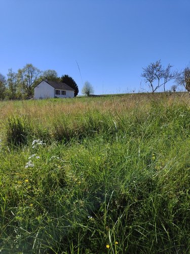 Terrain a batir a vendre La Croix-en-Touraine 37150 Indre-et-Loire 1020 m2  59000 euros