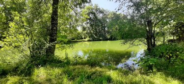 Terrains de loisirs bois etangs a vendre Truyes 37320 Indre-et-Loire 642 m2  4240 euros