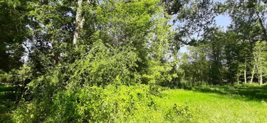 Terrains de loisirs bois etangs a vendre Truyes 37320 Indre-et-Loire 642 m2  4240 euros