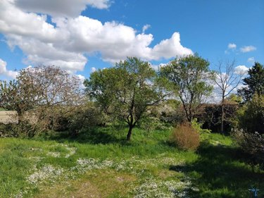 Maison a vendre Descartes 37160 Indre-et-Loire 75 m2 4 pièces 106000 euros