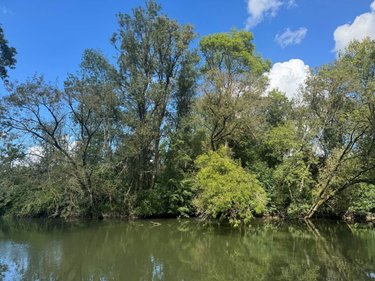 Terrains de loisirs bois etangs a vendre Reignac-sur-Indre 37310 Indre-et-Loire 13400 m2  15900 euros