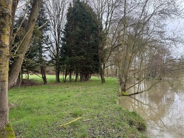 Terrains de loisirs bois etangs a vendre Reignac-sur-Indre 37310 Indre-et-Loire 9650 m2  12720 euros