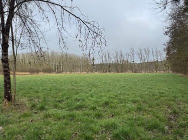 Terrains de loisirs bois etangs a vendre Reignac-sur-Indre 37310 Indre-et-Loire 9650 m2  12720 euros