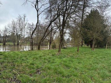 Terrains de loisirs bois etangs a vendre Reignac-sur-Indre 37310 Indre-et-Loire 9650 m2  12720 euros