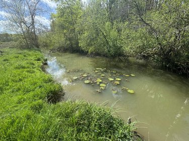 Terrains de loisirs bois etangs a vendre Tauxigny Saint Bauld 37310 Indre-et-Loire 14100 m2  8100 euros