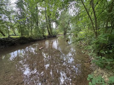 Terrains de loisirs bois etangs a vendre Truyes 37320 Indre-et-Loire 34820000 m2  24910 euros
