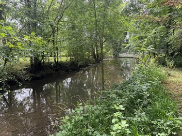 Terrains de loisirs bois etangs a vendre Truyes 37320 Indre-et-Loire 34820000 m2  24910 euros