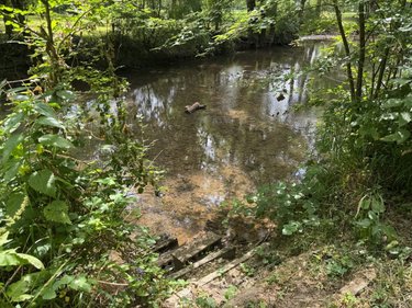 Terrains de loisirs bois etangs a vendre Truyes 37320 Indre-et-Loire 34820000 m2  24910 euros