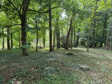 Terrains de loisirs bois etangs a vendre Truyes 37320 Indre-et-Loire 34820000 m2  24910 euros