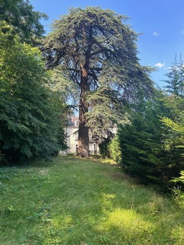 propriete a vendre Saint-Avertin 37550 Indre-et-Loire 730 m2 23 pièces 990000 euros