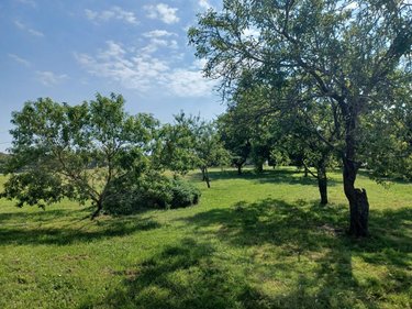Maison a vendre Marçay 37500 Indre-et-Loire 80 m2 4 pièces 157600 euros