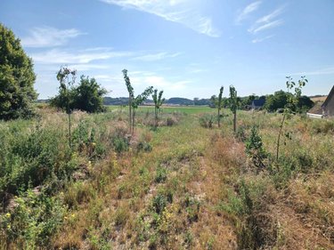Maison a vendre Crissay-sur-Manse 37220 Indre-et-Loire 60 m2 4 pièces 107680 euros