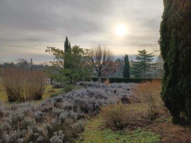 Maison a vendre Chinon 37500 Indre-et-Loire 220 m2 7 pièces 456800 euros