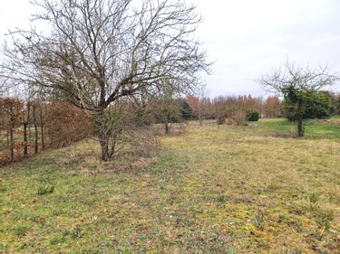 Terrain a batir a vendre Ligré 37500 Indre-et-Loire 1650 m2  40600 euros