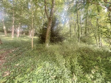 Terrain a batir a vendre Coteaux sur Loire 37130 Indre-et-Loire 2638 m2  79500 euros