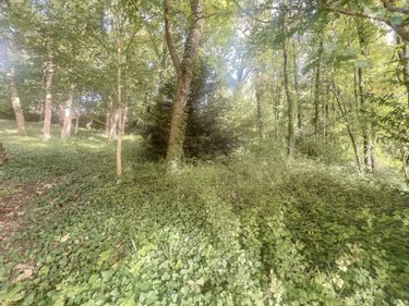 Terrain a batir a vendre Coteaux sur Loire 37130 Indre-et-Loire 2638 m2  84800 euros