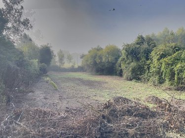 Terrain a batir a vendre Coteaux sur Loire 37130 Indre-et-Loire 2638 m2  84800 euros