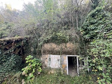 Divers a vendre Cheillé 37190 Indre-et-Loire 32 m2  10000 euros