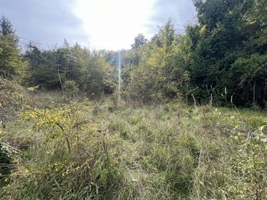 Divers a vendre Cheillé 37190 Indre-et-Loire 32 m2  10000 euros