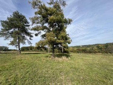 Divers a vendre Cheillé 37190 Indre-et-Loire 32 m2  10000 euros