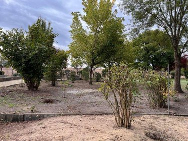 Terrain a batir a vendre Pernay 37230 Indre-et-Loire 1116 m2  89000 euros