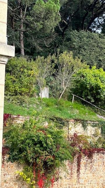 propriete a vendre Saint-Étienne-de-Chigny 37230 Indre-et-Loire 210 m2 7 pièces 600000 euros