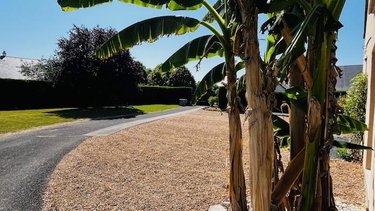 Maison a vendre Luynes 37230 Indre-et-Loire 175 m2 6 pièces 455840 euros