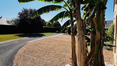 Maison a vendre Luynes 37230 Indre-et-Loire 175 m2 6 pièces 497280 euros