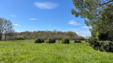 Maison a vendre Luynes 37230 Indre-et-Loire 192 m2 7 pièces 737000 euros