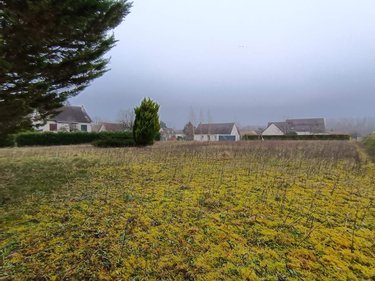 Terrain a batir a vendre Cour-Cheverny 41700 Loir-et-Cher 2102 m2  63960 euros