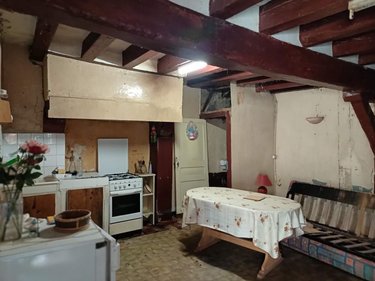 Maison a vendre Chaumont-sur-Loire 41150 Loir-et-Cher 42 m2 2 pièces 54500 euros