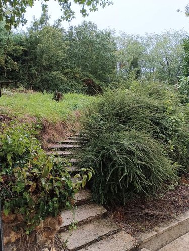 Maison a vendre Fontaine-les-Coteaux 41800 Loir-et-Cher 72 m2 4 pièces 104000 euros