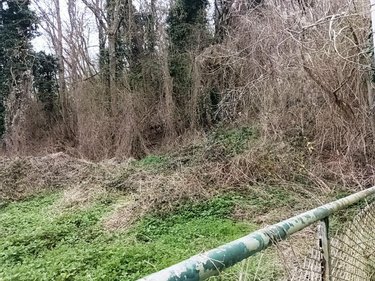 Maison a vendre Pezou 41100 Loir-et-Cher 50 m2 2 pièces 39000 euros