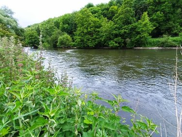 Terrains de loisirs bois etangs a vendre Fréteval 41160 Loir-et-Cher 2080 m2  14500 euros