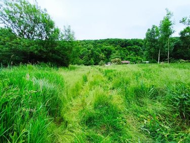 Terrains de loisirs bois etangs a vendre Fréteval 41160 Loir-et-Cher 2080 m2  14500 euros