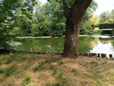 Terrains de loisirs bois etangs a vendre Saint-Firmin-des-Prés 41100 Loir-et-Cher 215 m2  6000 euros