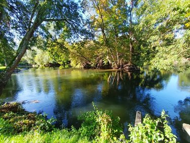 Terrains de loisirs bois etangs a vendre Lunay 41360 Loir-et-Cher 741 m2  9500 euros