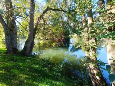 Terrains de loisirs bois etangs a vendre Lunay 41360 Loir-et-Cher 741 m2  9500 euros