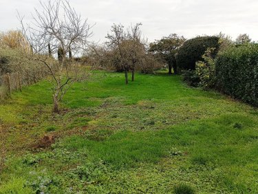 Maison a vendre Villiersfaux 41100 Loir-et-Cher 83 m2 5 pièces 150800 euros