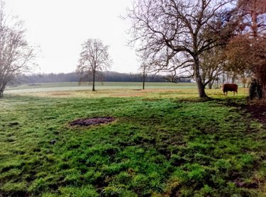 Maison a vendre Lunay 41360 Loir-et-Cher 62 m2 3 pièces 114400 euros